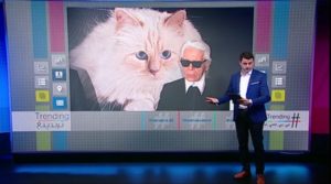 القطة الغنية والمشهورة جداً ترث ثروة هائلة .