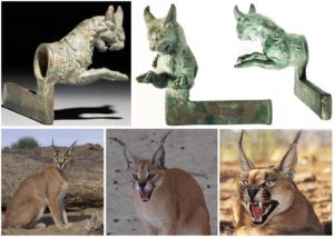 عمران وبعض تاريخها