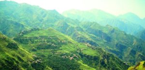 ريمة وبعض تاريخها