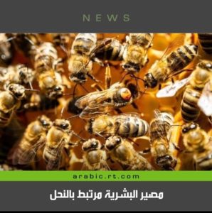 مصير البشرية مرتبط بالنحل !!