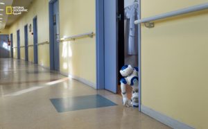 روبـوتـات بَـارَّة للمسنين