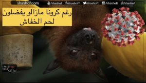 لحوم الخفافيش لا تزال تحظى بشعبية رغم فيروس كورونا