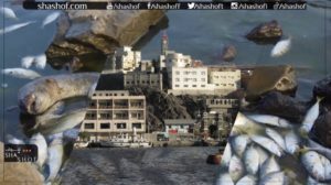 ماذا حدث للأسماك وماء البحر؟ على ساحل أبين قرب عدن (فيديو)