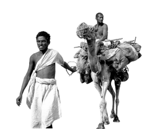 يحافظ المؤرخون والجغرافيون والرسامون على 150 عامًا من تاريخ مكة