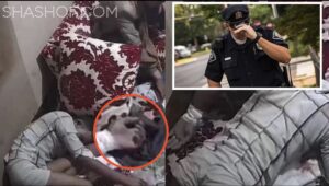 شرطي محقق أمريكي يحلل جريمة تعذيب وقتل عبدالله الاغبري بعد مشاهدته للفيديو