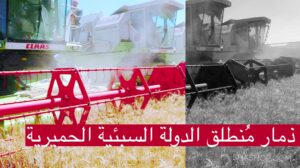 قمح ذمار يُبهر العالم حقول ليست في تسمانيا ولا في استراليا !