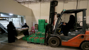 السعوديات يحصل على حقوقهن في العمل بالقطاع الصناعي