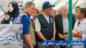 عاجل.. إعلان وظيفتان شاغرة لبرنامج الغذاء العالمي في مأرب اليمنيه – قدم من هنا