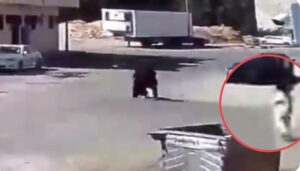 شاهد فيديو لص الرياض يسحب سيدة امام طفلتها (فيديو + ردود السعوديين)
