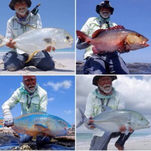 شاهد ما تنبأت به السفارة الصينية عن سواحل اليمن وثروته القادمه!