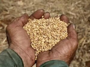 مجموعة هائل سعيد تحذر من مجاعة تعم اليمن بأكمله! فما حقيقة هذا التحذير؟