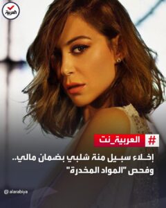 النيابة المصرية تنشر صور مخدرات الفنانة منة شلبي وكل تفاصيل العملية!