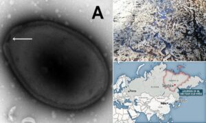 سيأتي وباء؟ تم إحياء الفيروس القديم الذي تجمد في سيبيريا لمدة 48500 عام (فيديو)