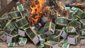 المهرة.. مكتب الصناعة والتجارة يحرق 4655 ظرف من منتج حوت (شمه)