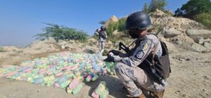 مصادرة 52 طناً من القات على الحدود السعودية واعتقال 421 متهماً