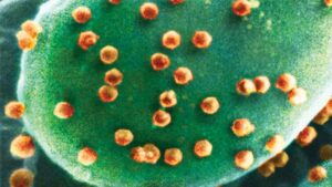 العلماء يكتشفون أول كائن حي يأكل الفيروسات