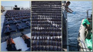 ورد الآن.. الإعلان عن اعتراض سفينة متجهة اليمن ومصادرة اكثر من 2000 بندقيه