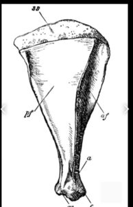 هل تعرف شيئا عن التقحيف؟