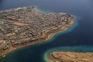 بيئة البحر الأحمر تنتج بكتيريا مضادة للسرطان