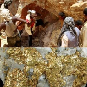 عودة شركة اماراتية للتعدين في المهرة بعد توقفها في 2011 بعقد يمتد 50 سنة