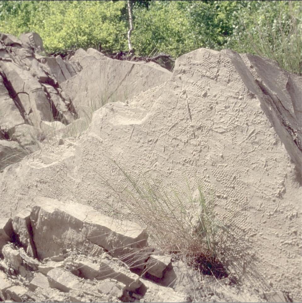 صخور يستخدمها الدكتور عبدالغني جغمان للإشارة لجبال السيليكا في اليمن