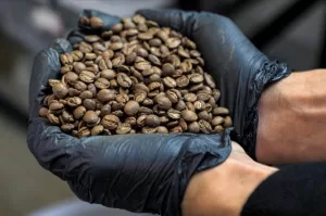 صحيفة عالمية: لا يمكن ذكر اليمن دون ذكر البُن اليمني الذي غزى العالم فما قصته؟