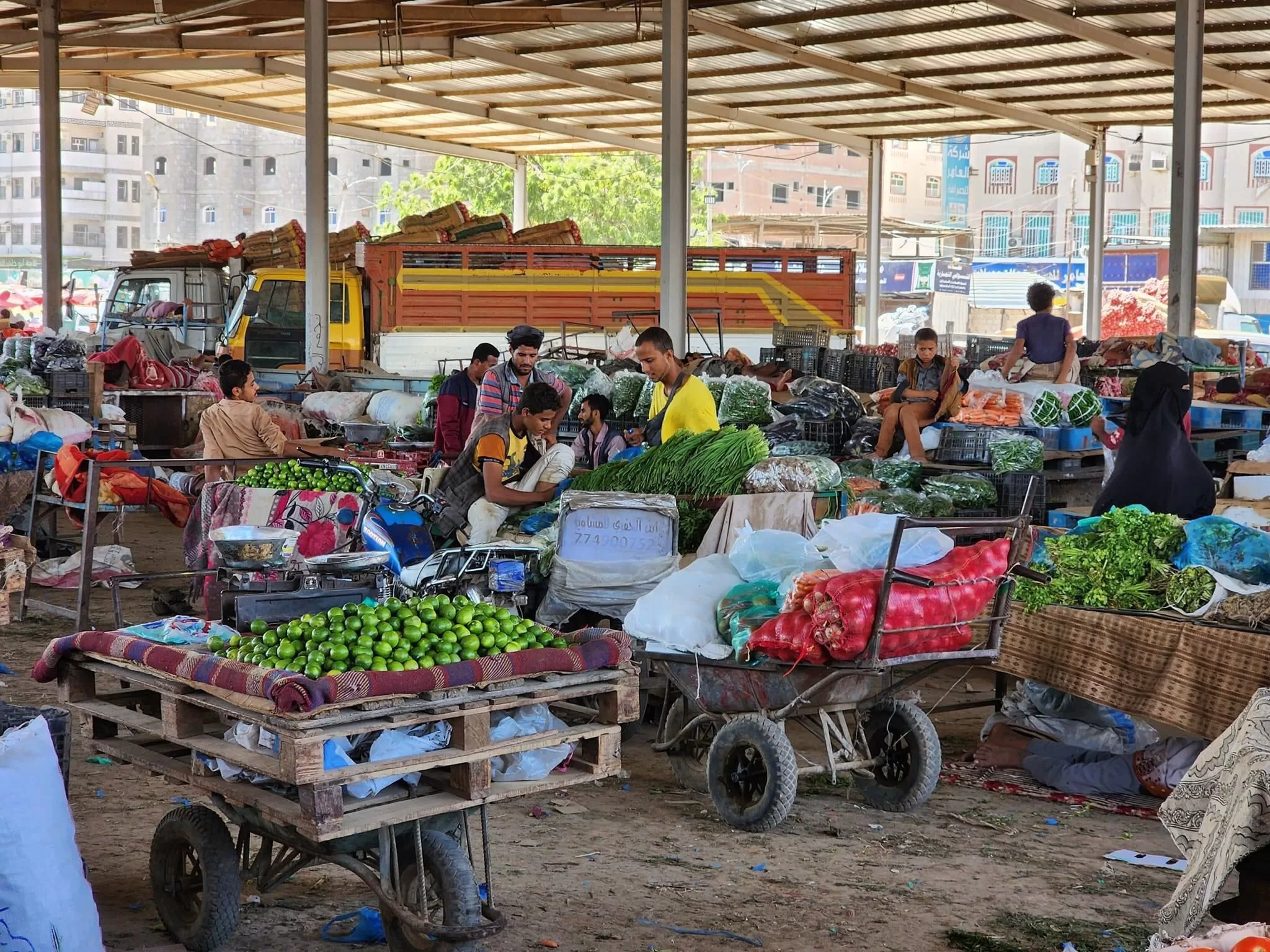 أسعار الخضروات والفواكه بسوق الجملة في المنصورة عدن