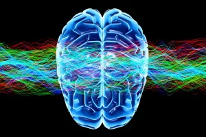 التأثير البيولوجي لهرمونات الجوع على قدرة الدماغ على اتخاذ القرارات