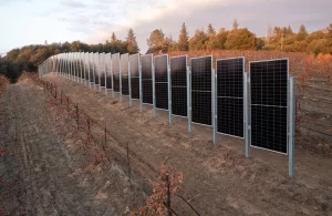 اكتشاف مذهل يغير مستقبل الطاقة في اليمن: تقنية تثبيت الألواح الشمسية الثنائية بشكل رأسي تحقق وفرة طاقة شمسية مدهشة!