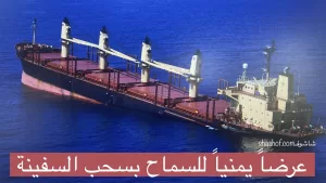 زعيم جماعة الحوثي يقدم عرضاً لإنقاذ السفينة البريطانية المغمورة في خليج عدن