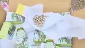 ضبط 864 ألف كبسولة جنسنج في جمرك صرفيت اليمني: آخر التطورات الحديثة في هذه العملية