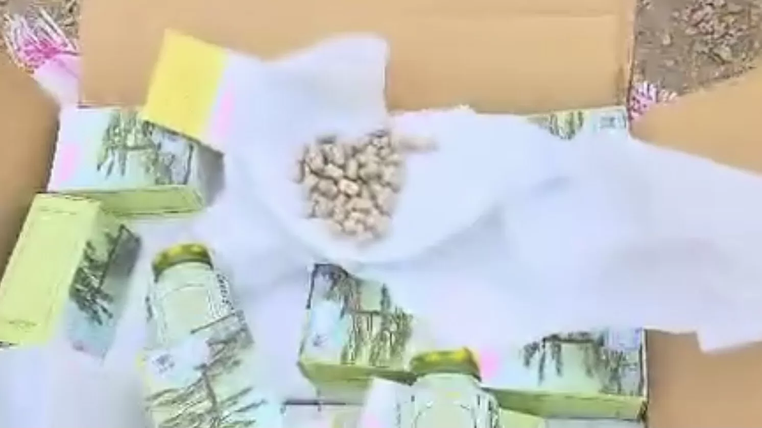 ضبط 864 ألف كبسولة جنسنج في جمرك صرفيت اليمني: آخر التطورات الحديثة في هذه العملية