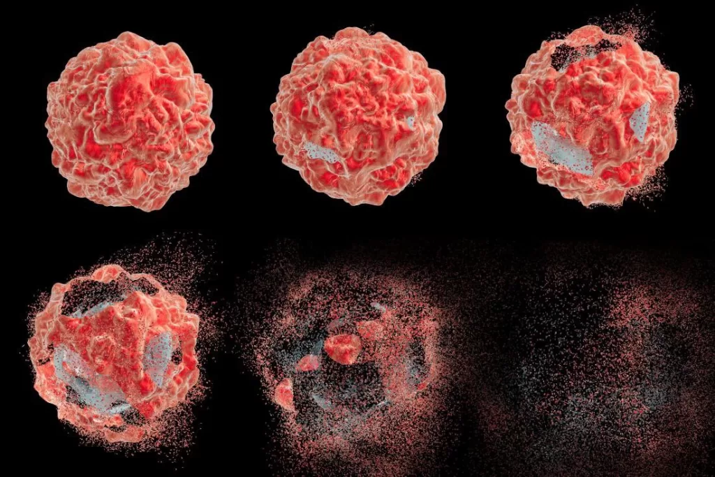 الخلايا سرطانية والجهاز المناعي للجسم