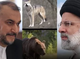 اخبار : تحطم مروحية قادة إيران وسط محيط وحوش برية خطيرة - مخاوف على الناجين