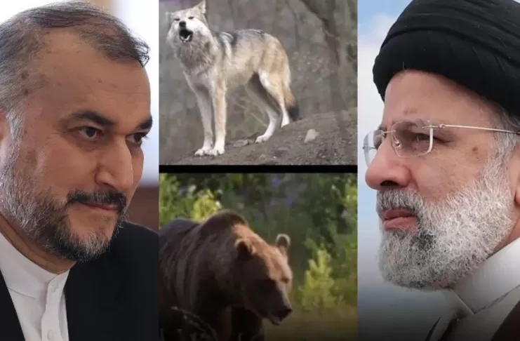 اخبار : تحطم مروحية قادة إيران وسط محيط وحوش برية خطيرة - مخاوف على الناجين