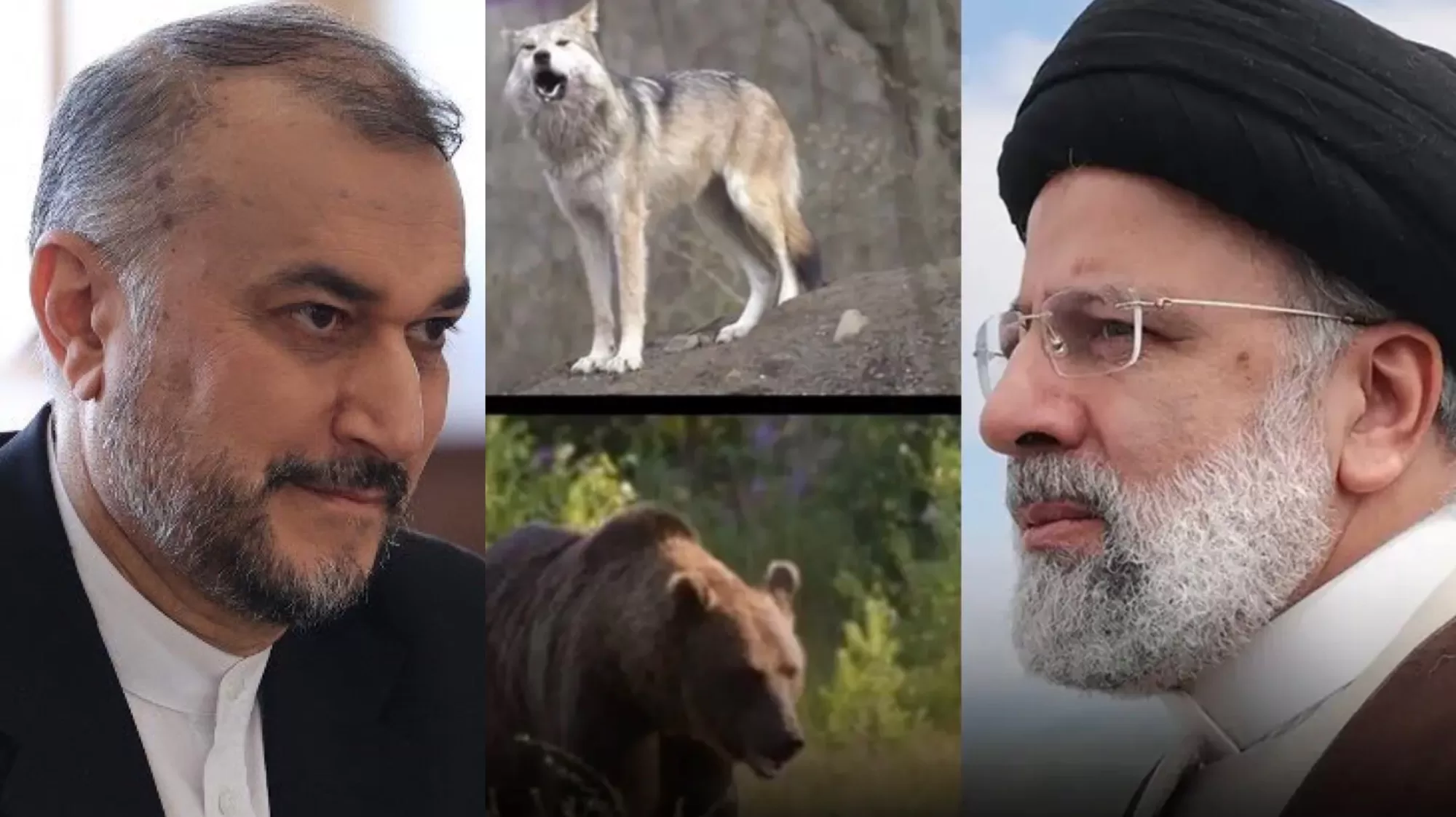 اخبار : تحطم مروحية قادة إيران وسط محيط وحوش برية خطيرة – مخاوف على الناجين