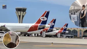 اليمن بين كيس الليمون وتجاوزات الجهل: دروس من نجاح شركات الطيران العالمية ودول فقيرة وتراجعنا المستمر