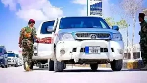 اخبار اليمن اليوم : أمن شبوة يلقي القبض على المتهمين في حادثة قتل مواطن