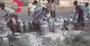 أزمة فائض الحليب في الحديدة: تحديات تواجه مشروع توطين الألبان في اليمن