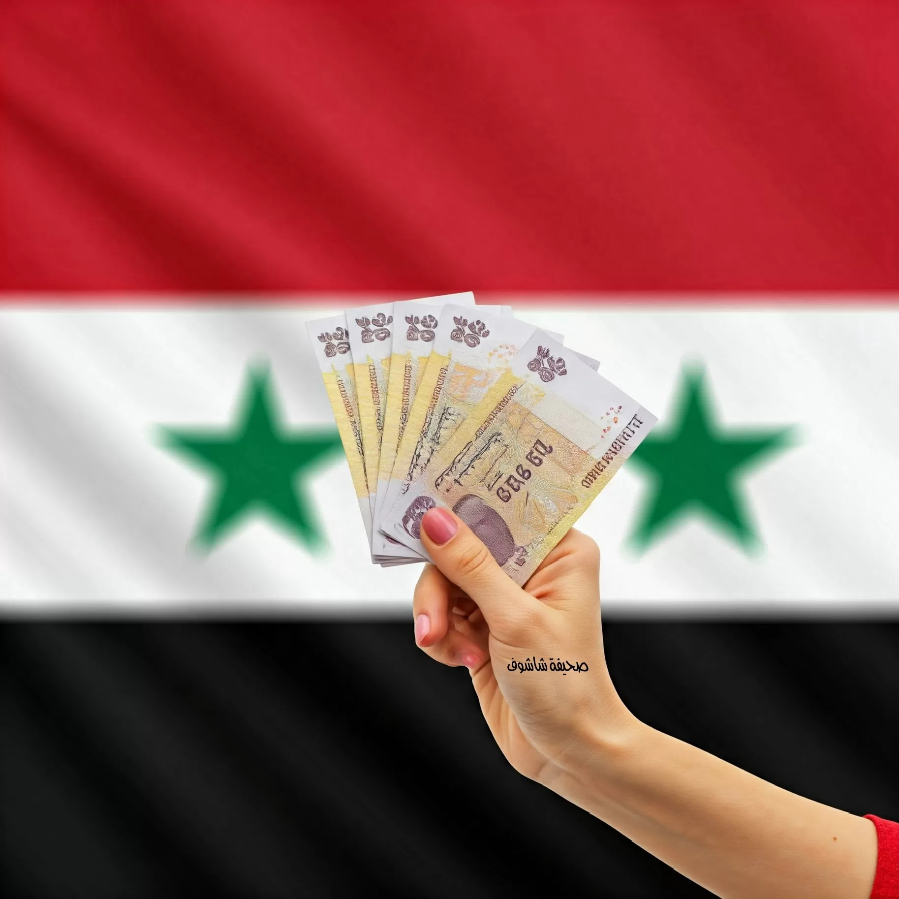 استقرار سعر الصرف في مصرف سوريا المركزي وارتفاع ملحوظ في السوق السوداء