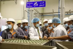 قرارات استئناف عمل مصانع طحن الأسماك تثير الجدل في حضرموت والمهرة