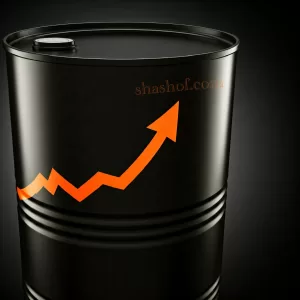 ارتفاع جديد في أسعار النفط الخام: توقعات بزيادة الطلب الصيني تدفع الأسعار للصعود