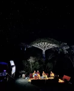 عدن في الظلام: أسباب الانهيار الكامل للكهرباء