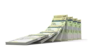 صرف رواتب موظفي عدة قطاعات حكومية في عدن وشبوة والضالع وتعز عبر شبكة عدن حوالة