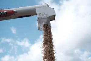 توتر تجاري بين واشنطن وطوكيو بسبب رسوم الأرز المرتفعة