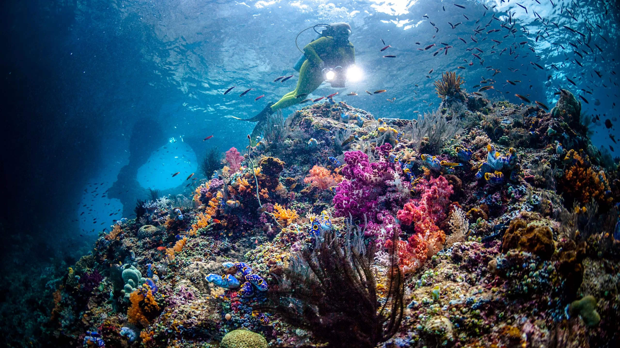 أفضل 41 وجهة للغوص باستخدام سنوركل في العالم للمبتدئين والخبراء scaled