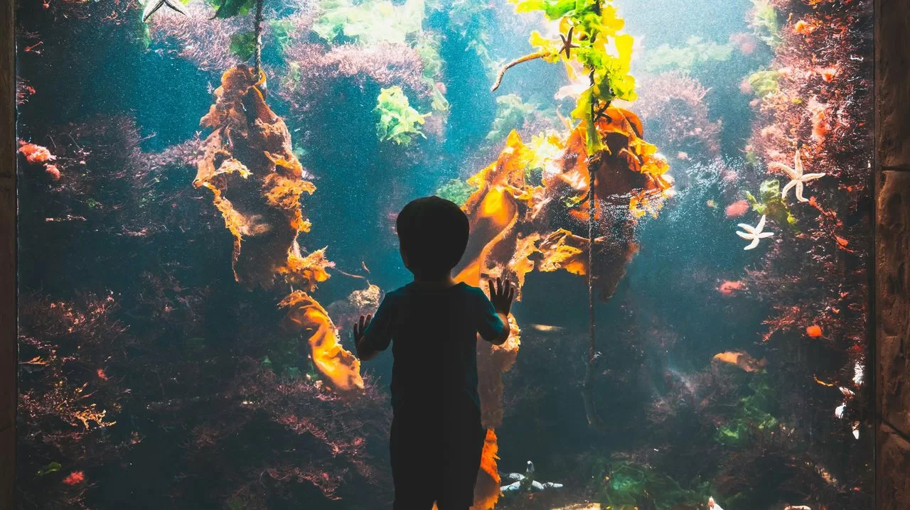 Condé Nast Traveler