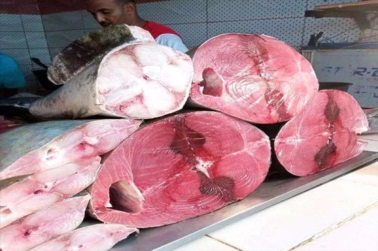 ارتفاع أسعار الأسماك بعدن