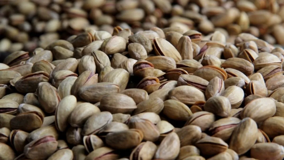 الجزيرة الآن اتفاق واشنطن وبكين يُنقذ محصول الفستق الأميركي من الانهيار