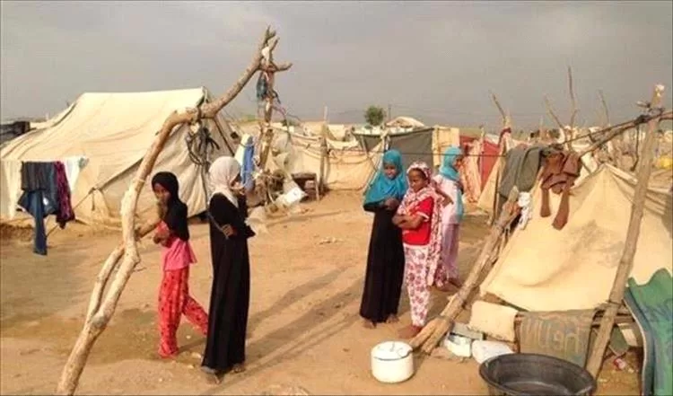 الهجرة الدولية: نزوح 49 أسرة خلال أسبوع